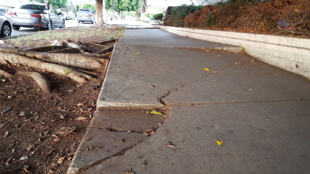 Concrete sidewalk Yonkers NY