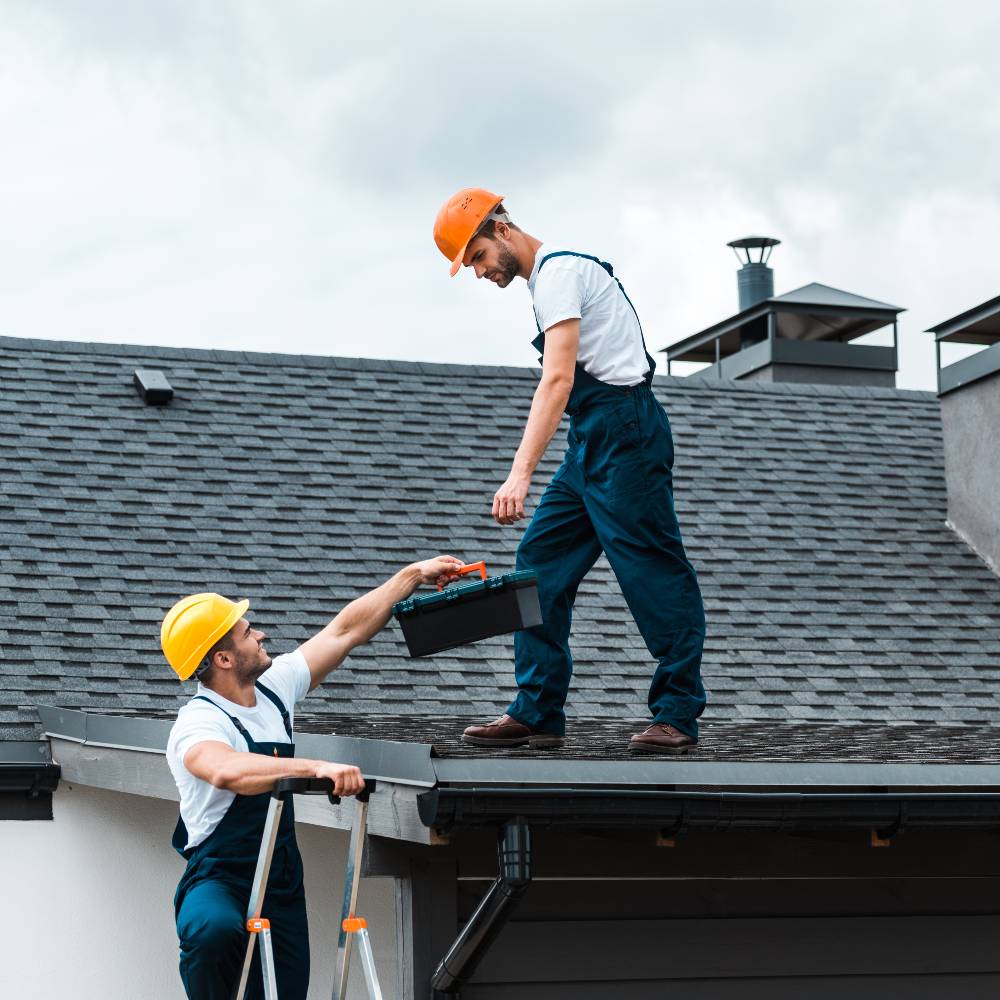 Roof Replacement Services in Bronx NY